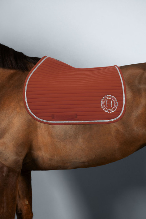 Mantilla Karembar Rider - Leonado (Leonado)
