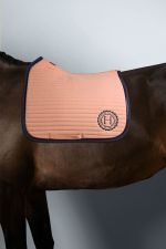 Karembar Satteldecke Rider - Apricot (Apricot) Karembar Satteldecke Rider - Apricot (Apricot)