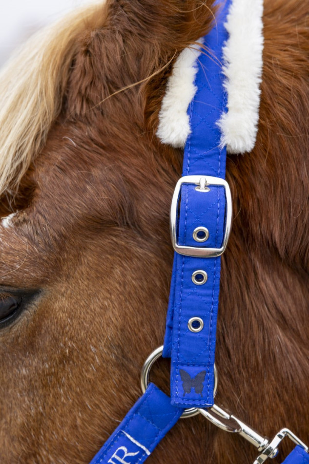 Teschic Halster & Loodkoord - Elec blauw Teschic Halster & Loodkoord - Elec blauw