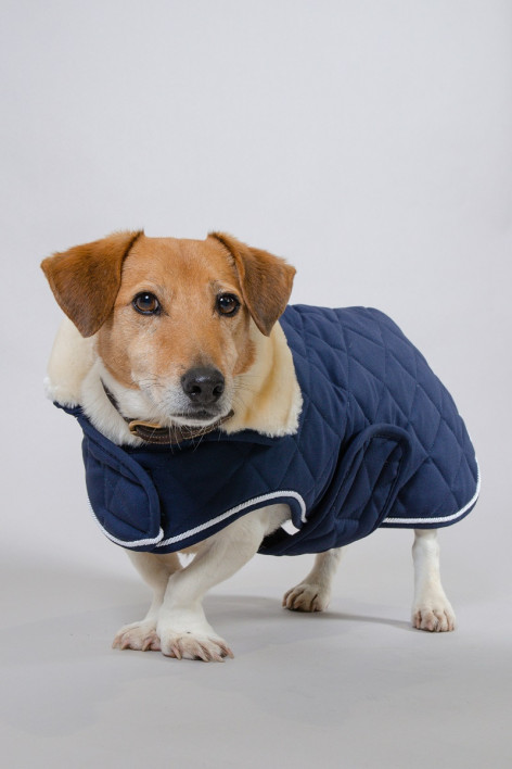 Rocket Dog Blanket Winter 22 - Navy