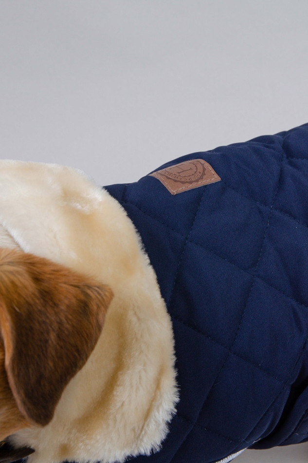 Manta Rocket Dog Invierno 22 - Azul marino