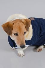 Rocket Dog Blanket Winter 22 - Navy Rocket Dog Blanket Winter 22 - Navy