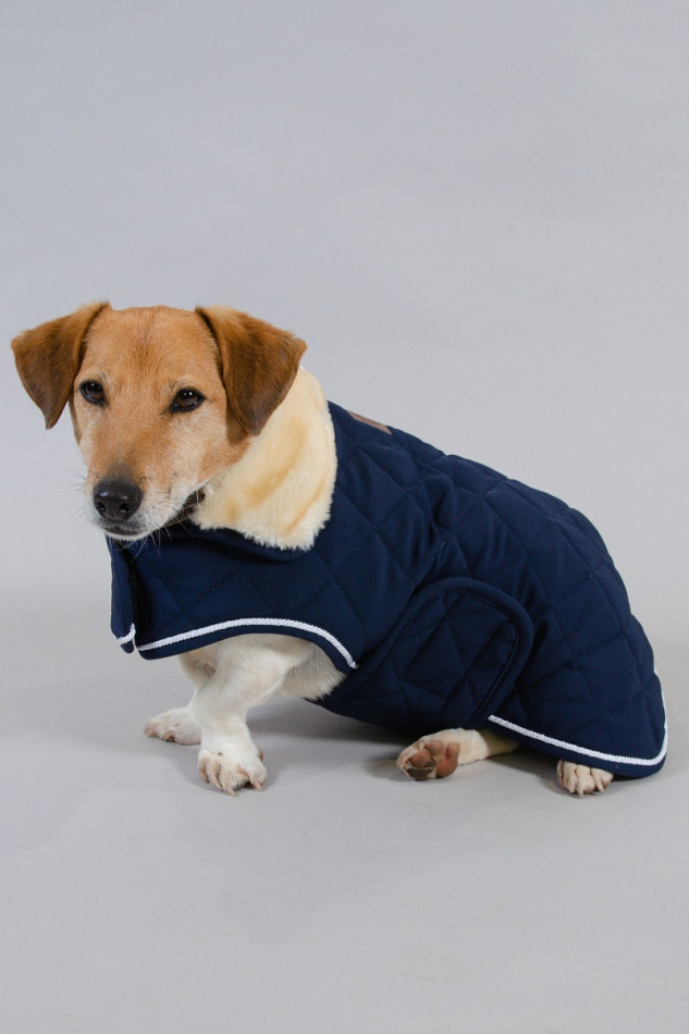 Rocket Dog Deken Winter 22 - Marine