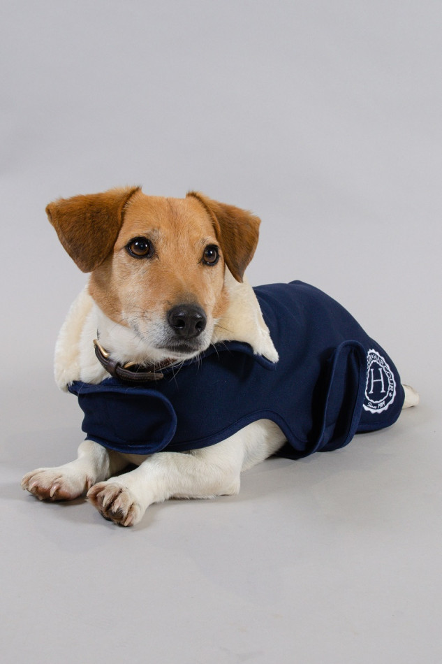 River Couverture Chien Winter 22 - Navy