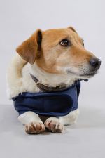 River Couverture Chien Winter 22 - Navy River Couverture Chien Winter 22 - Navy