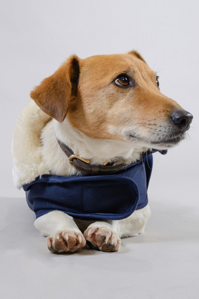 River Blanket Dog Winter 22 - Navy