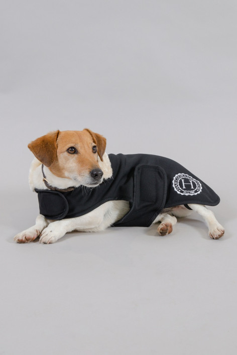River Dog Deken Winter 22 - Zwart