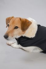 River Couverture Chien Winter 22 - Black (Black) River Couverture Chien Winter 22 - Black (Black)