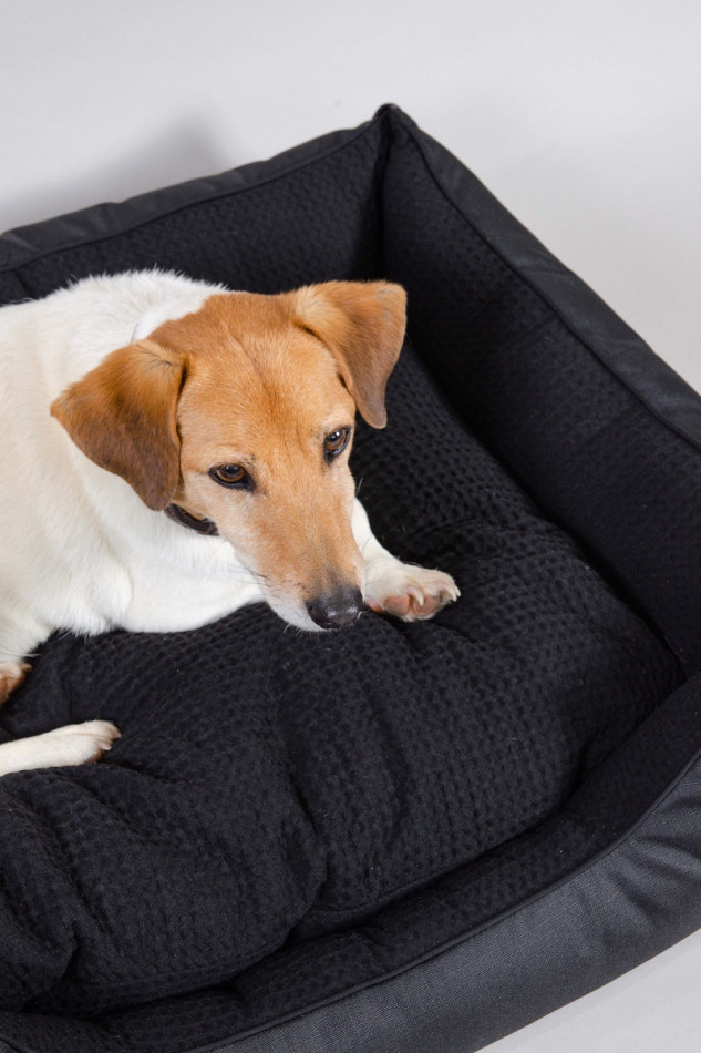 Baline Winter 22 Hondenbed - Zwart