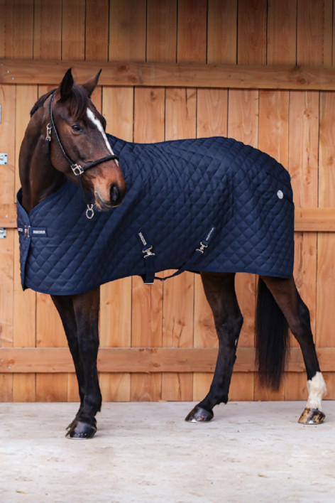 Romance Horse Cover
