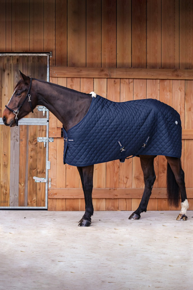 Romance Couverture Cheval Winter 22