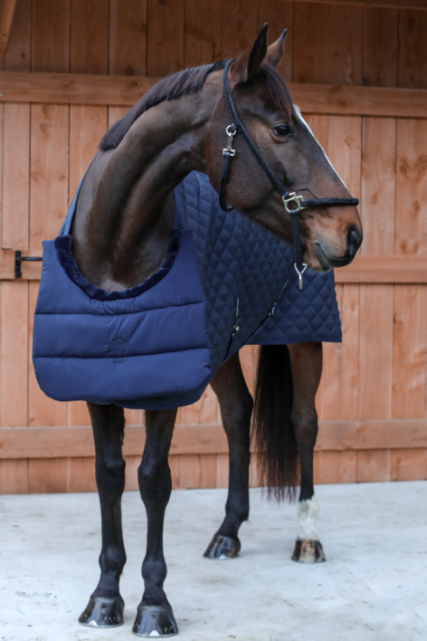 Gala protector pectoral