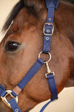 Hega Halter Rider Hega Halter Rider