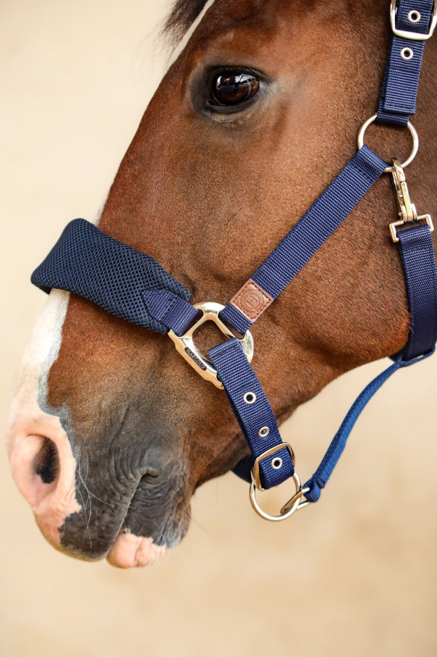 Halter Hega Halter Hega