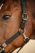 Hega Halter Rider Hega Halter Rider