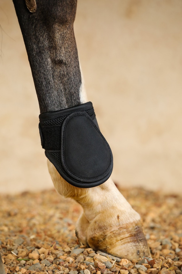 Protezioni Fetlock a rete tossica Protezioni Fetlock a rete tossica
