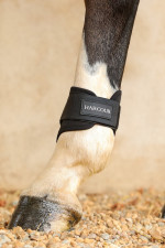 Maddi Jumping Fetlock Boots Maddi Jumping Fetlock Boots