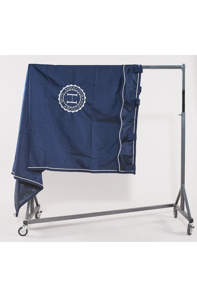 Sosteniendo al embajador del box Sosteniendo al embajador del box