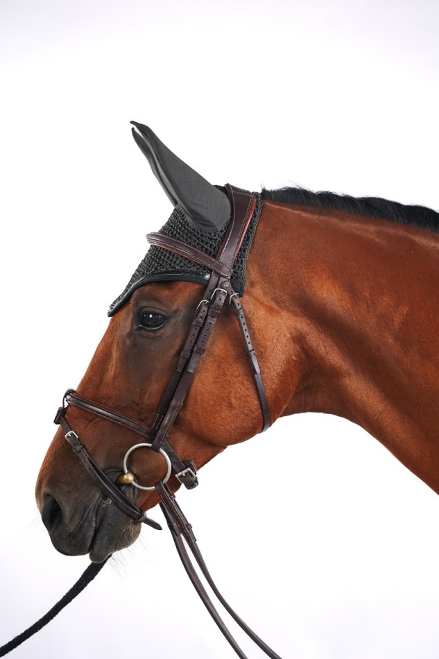 Filou capo de caballo