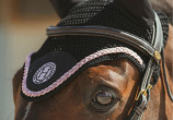 Paardenhoed