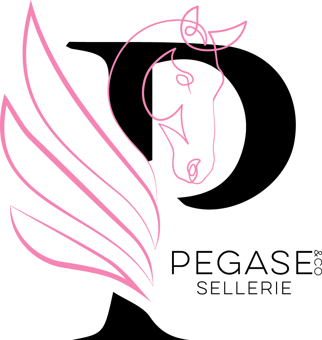 pegase_sellerie.jpg
